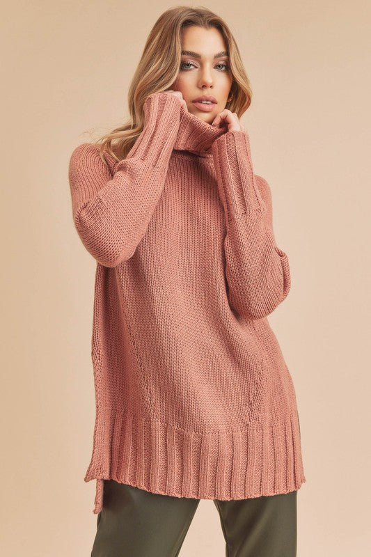 Aemi + Co Danica Turtle Neck Sweater