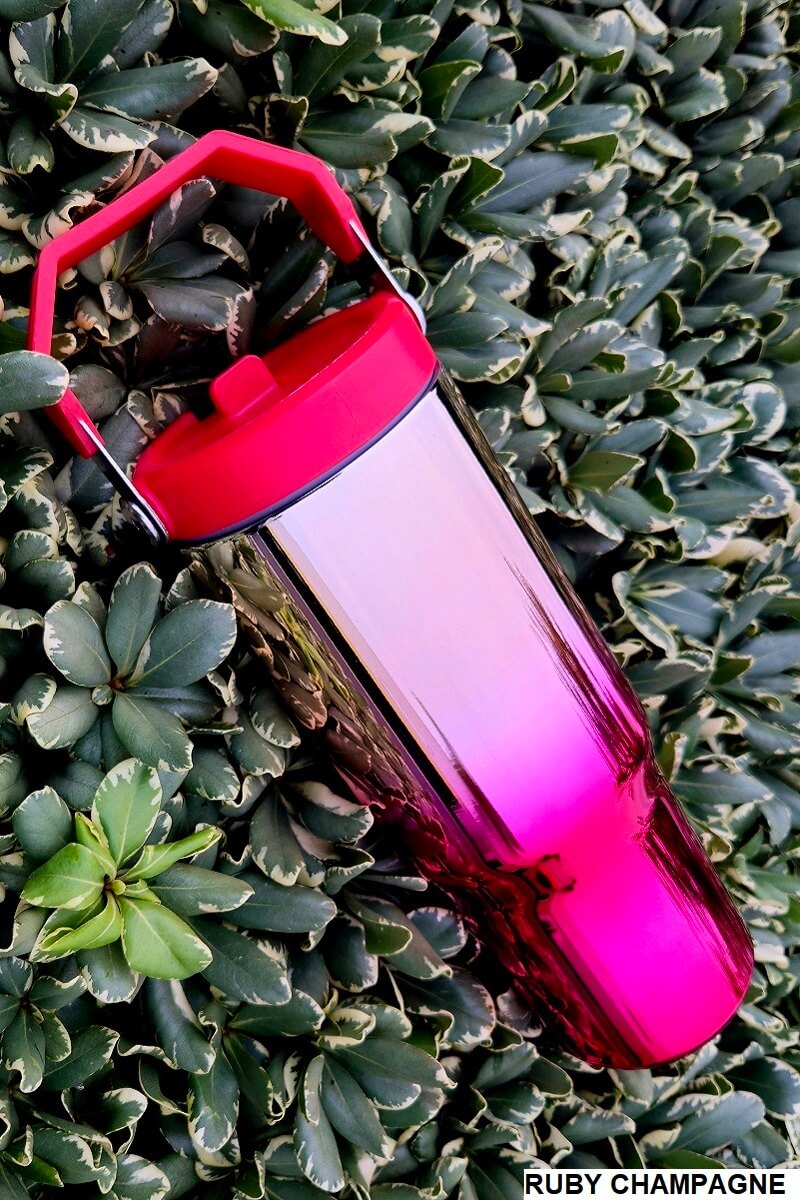 30 oz Mirror Tumbler with Handle and Flip Straw