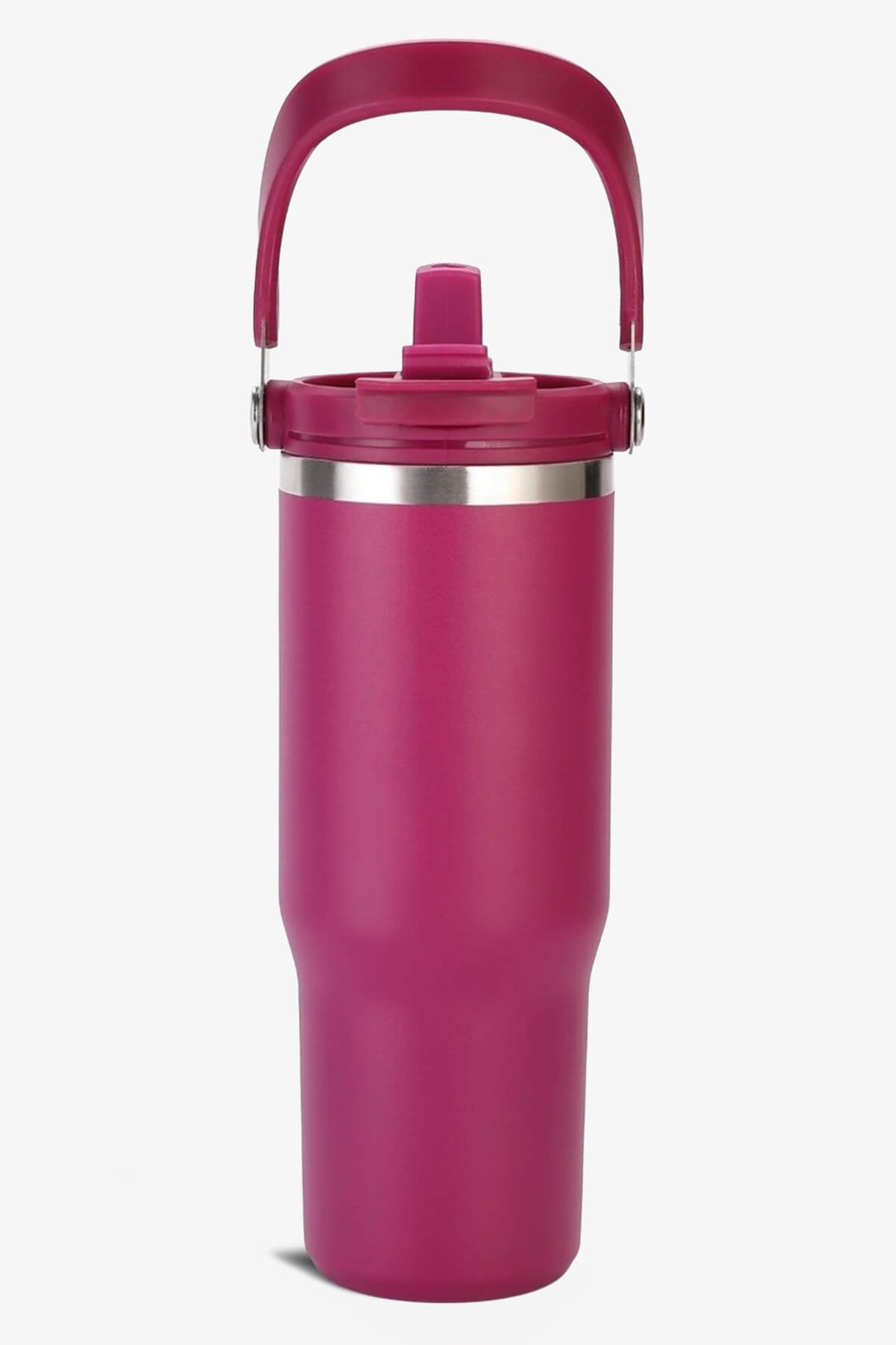 30 oz 2 in 1 Lid and Straw Tumbler with Handle