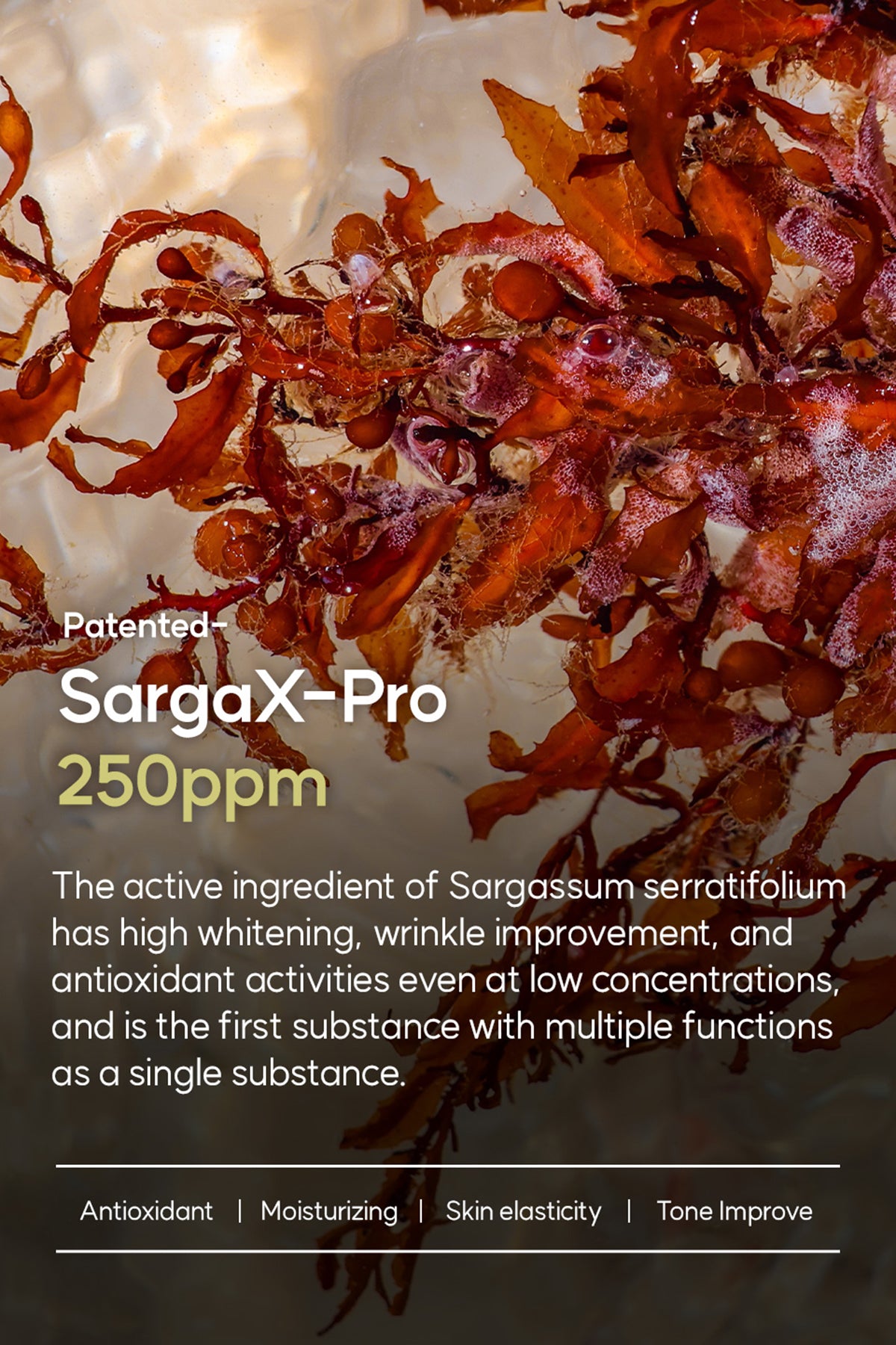 DOCTOB Pepta-Vita SargaX-Pro Vegan Eye Cream 30ml/1.01 fl.oz