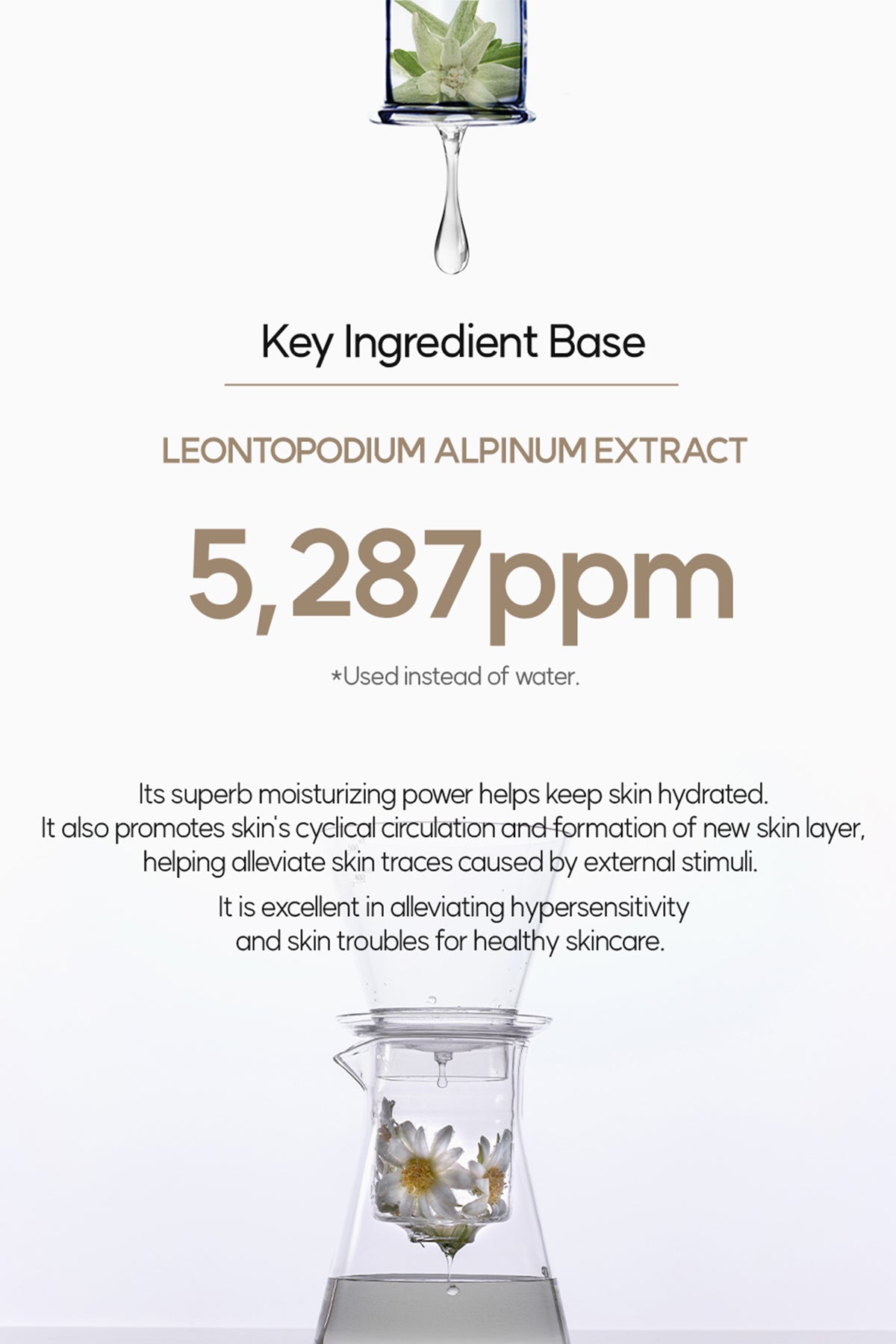 DOCTOB Pepta-Biome Antioxidant Vegan Serum 50ml/1.69 fl.oz