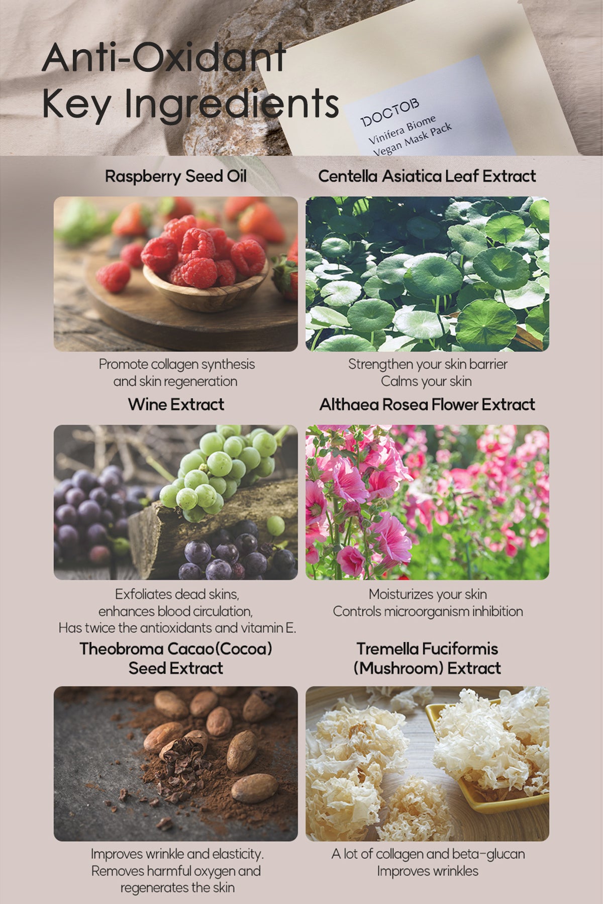 DOCTOB Vinifera Biome Vegan Mask Pack (5-Pack)