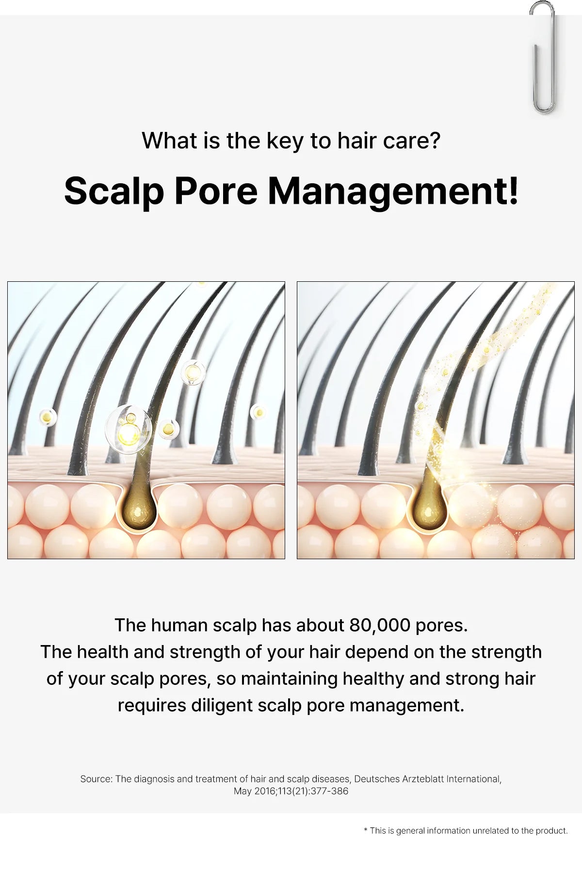 Dr. Oracle Scalp Pore Control Shampoo – Deep Cleansing & Scalp Renewal with PDRN, Plant Proteins & Peptides (380ml / 12.85 fl.oz)