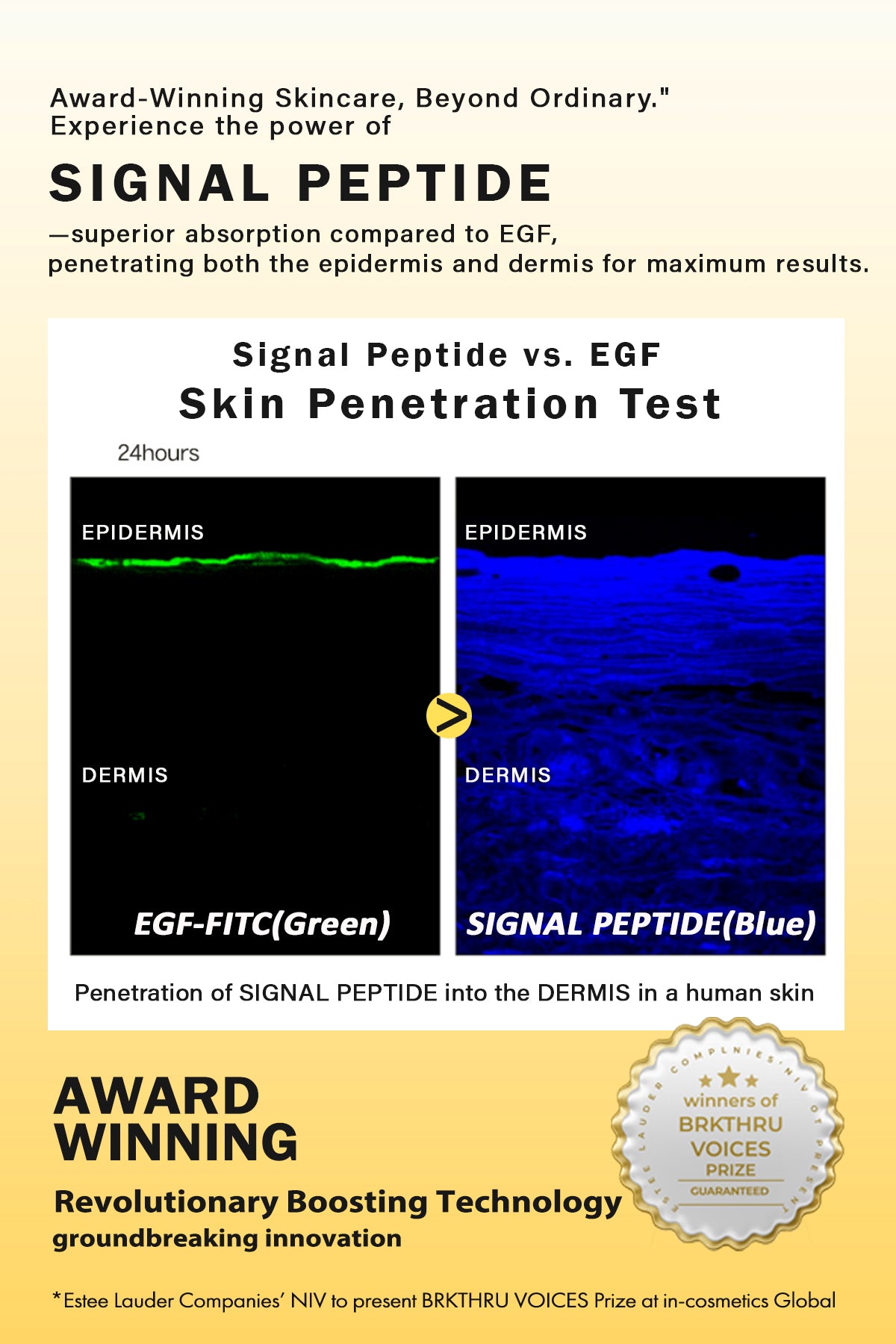 NizNoT 05 Brightening Niacin Vita Skin Toning Ampoule 50ml/1.69fl.oz