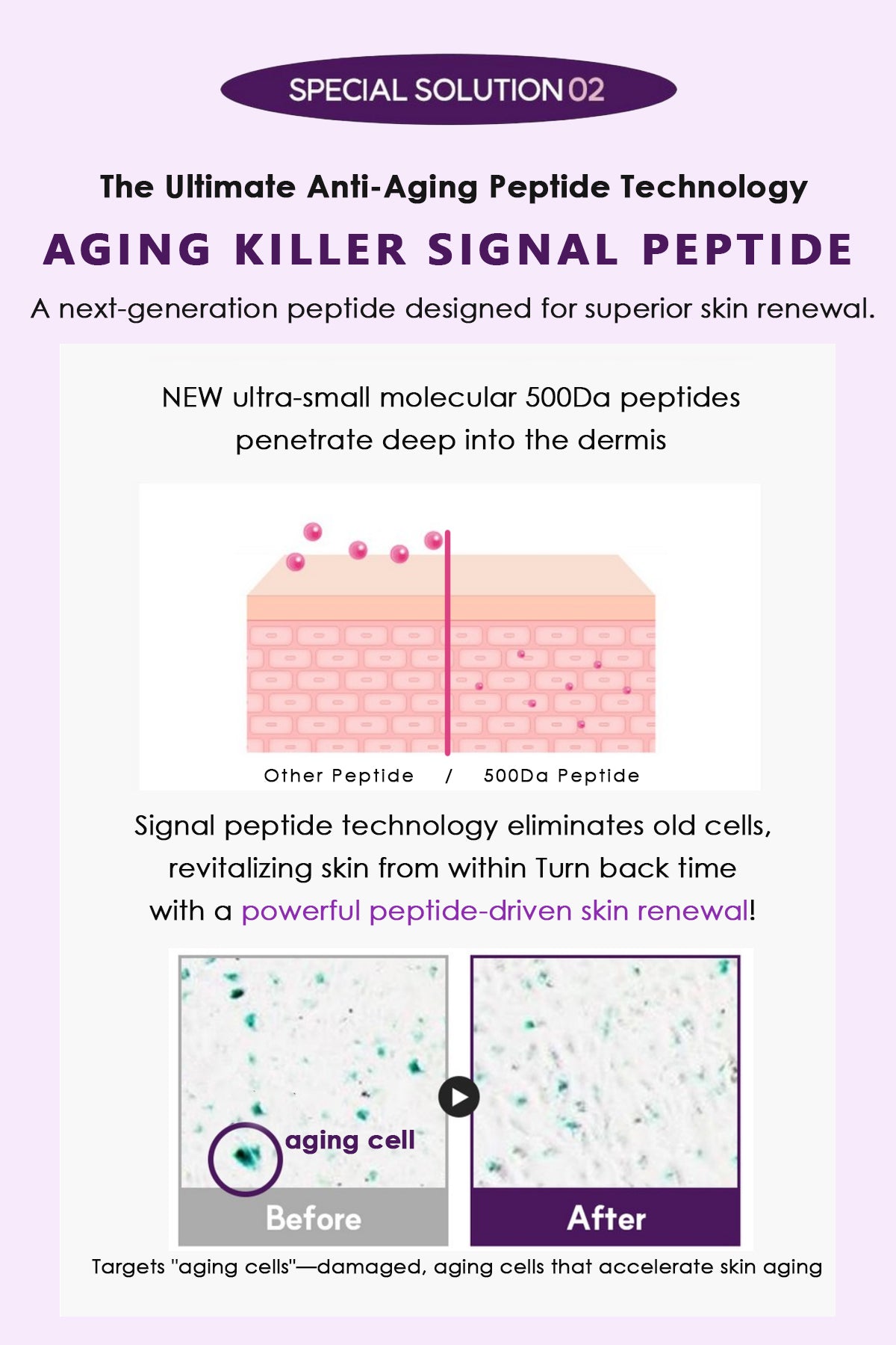 NizNoT 06 Lifting Collagen Tightening Ampoule 50ml/1.69 fl.oz