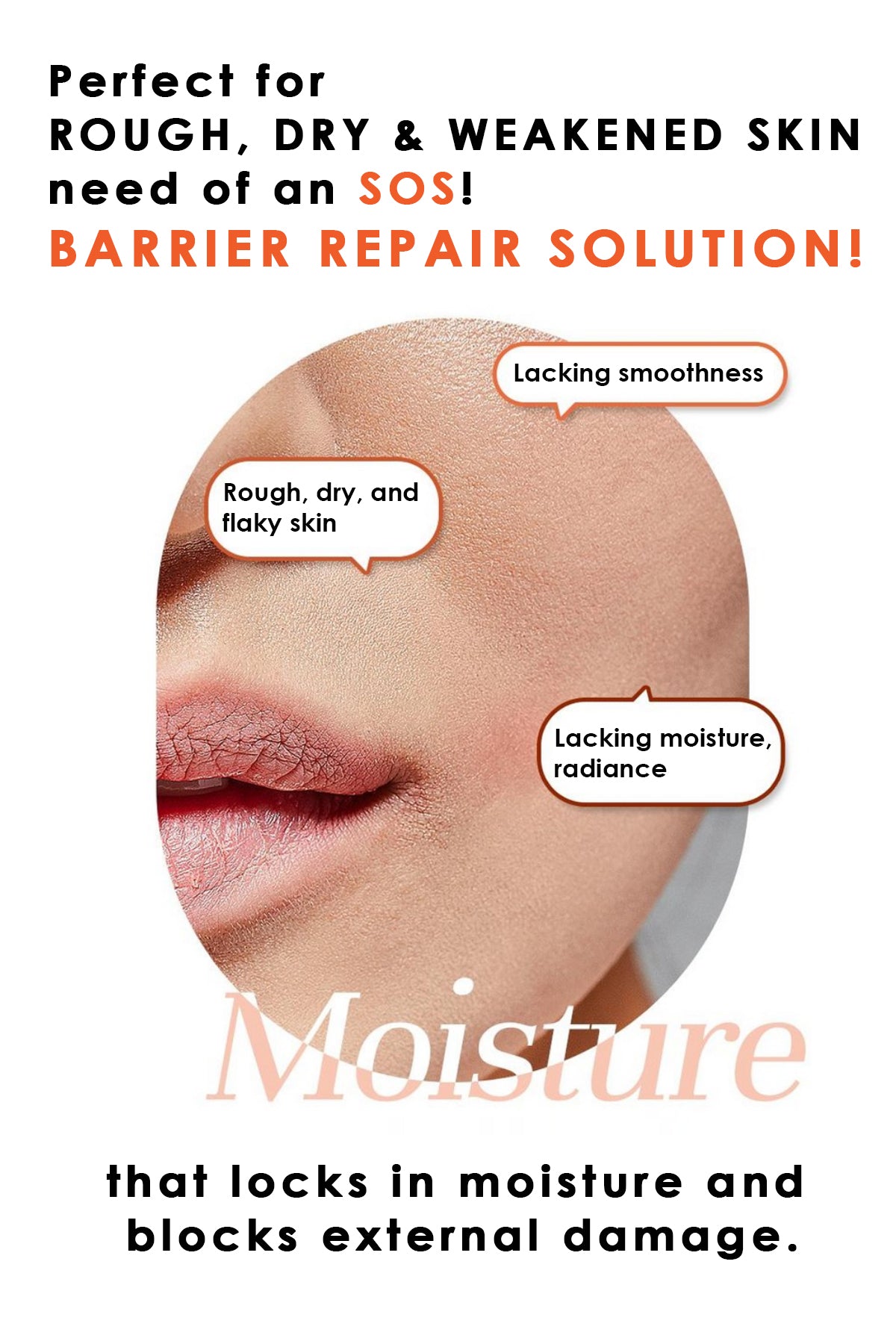 NizNoT 07 Ceramide-Skin Barrier Cream 150ml/5.07 FL.OZ Strengthen. Hydrate. Restore.