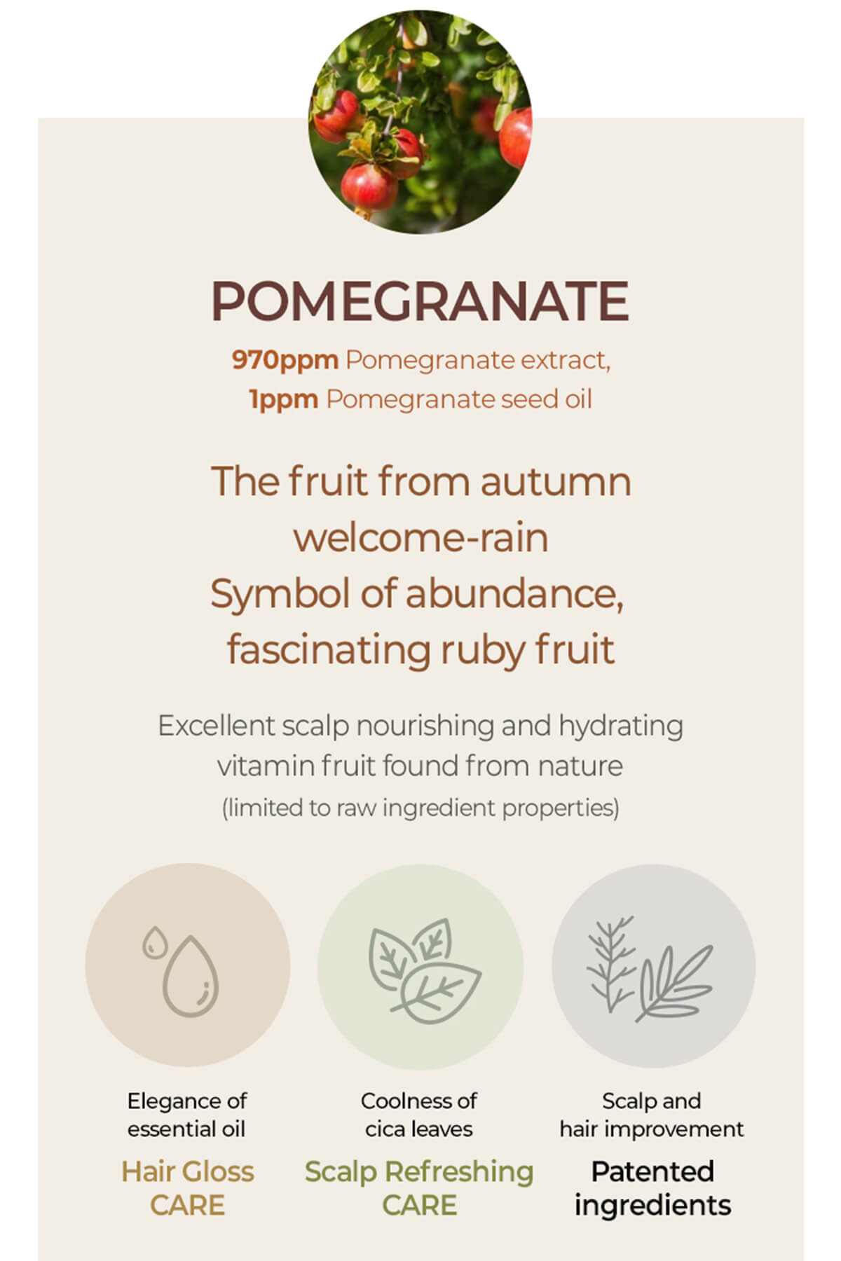 True.LAB Botanic Pomegranate Shampoo 135ml_4