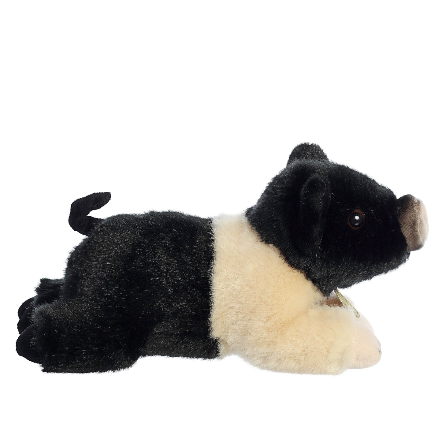 Hampshire Piglet Pig 8 inch