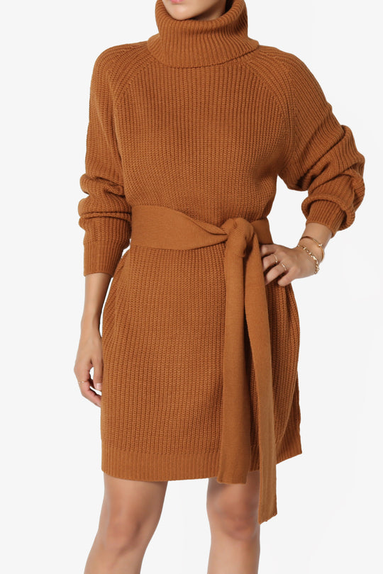 Arkin Turtle Neck Pullover Sweater Mini Dress