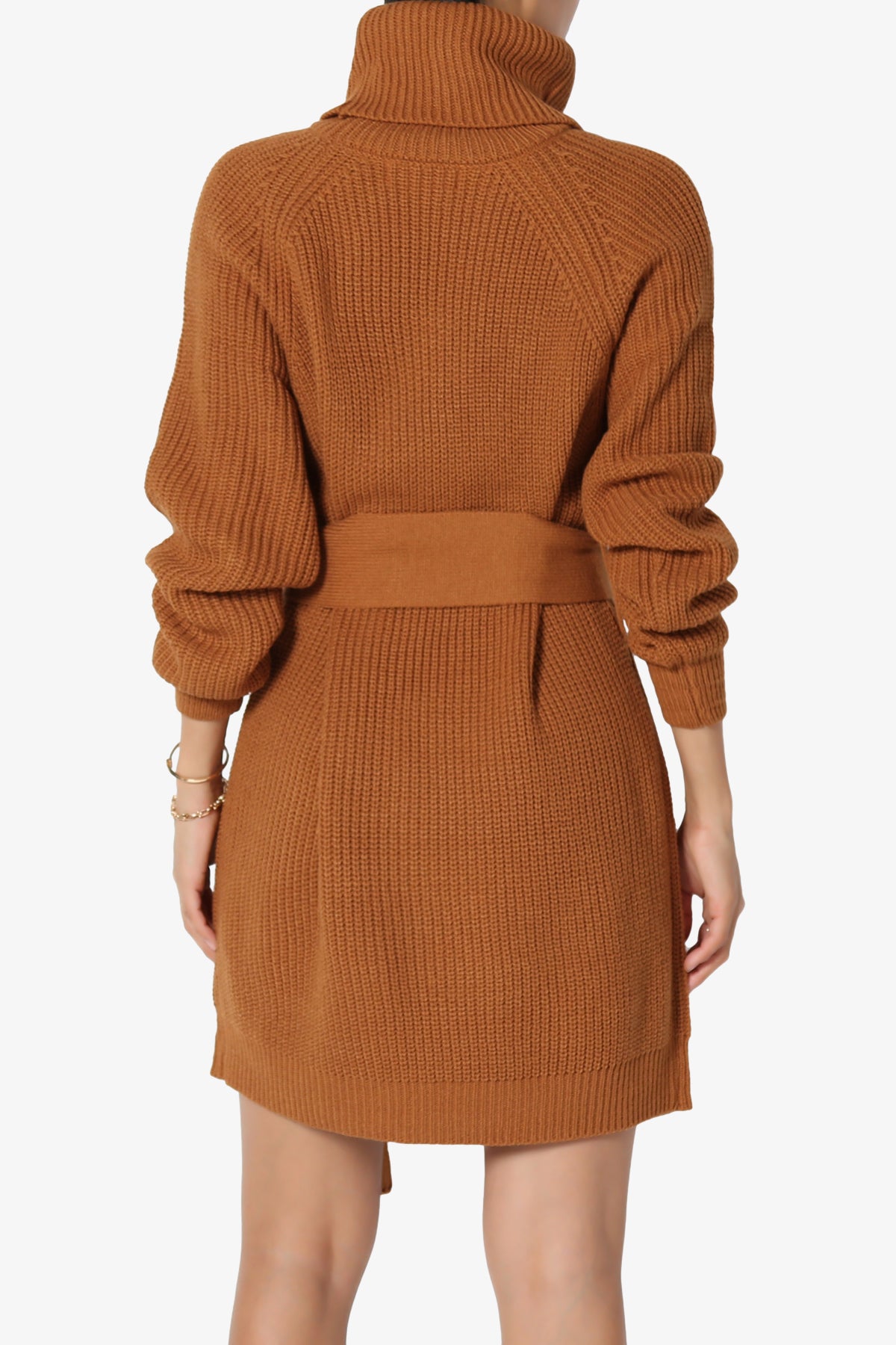 Arkin Turtle Neck Pullover Sweater Mini Dress ALMOND_2