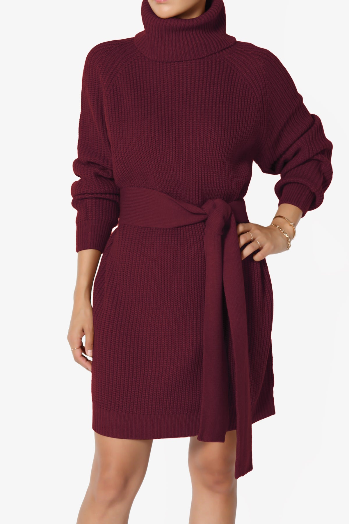 Arkin Turtle Neck Pullover Sweater Mini Dress DARK BURGUNDY_1