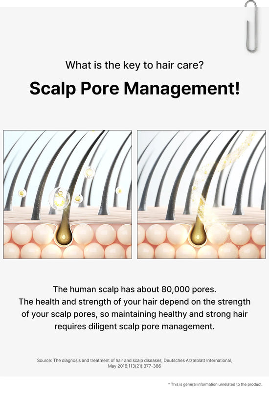 Dr. Oracle Scalp Pore Control Shampoo – Deep Cleansing & Scalp Renewal with PDRN, Plant Proteins & Peptides (380ml / 12.85 fl.oz)