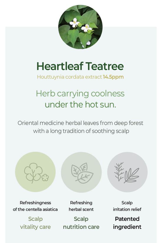 True.LAB Botanic Heartleaf Teatree Shampoo 135ml/4.56 fl.oz