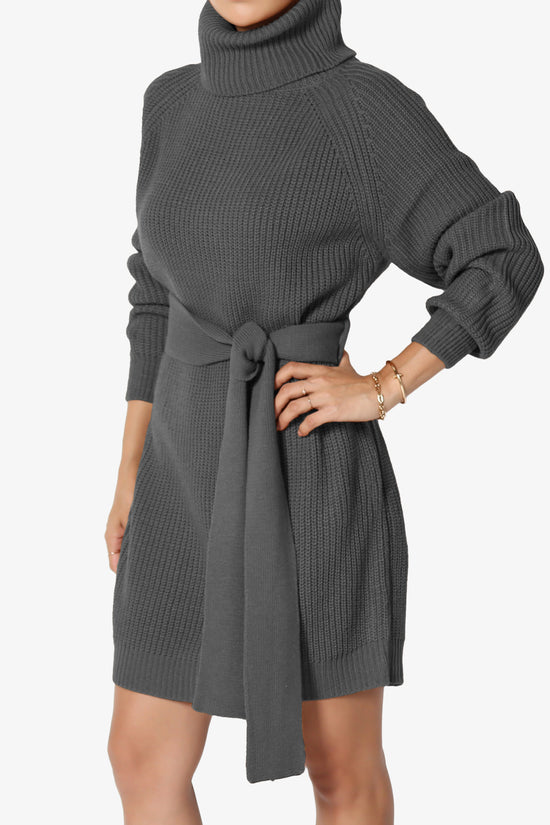 Arkin Turtle Neck Pullover Sweater Mini Dress ASH GREY_3