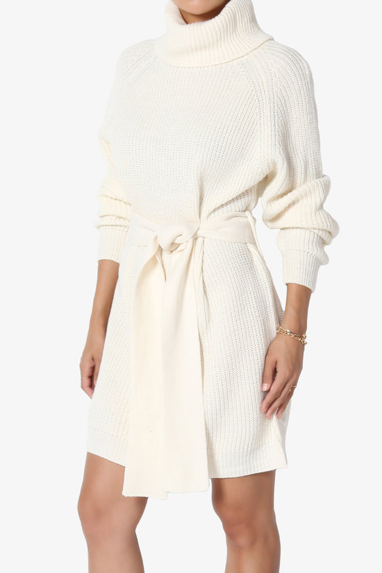 Arkin Turtle Neck Pullover Sweater Mini Dress CREAM_3