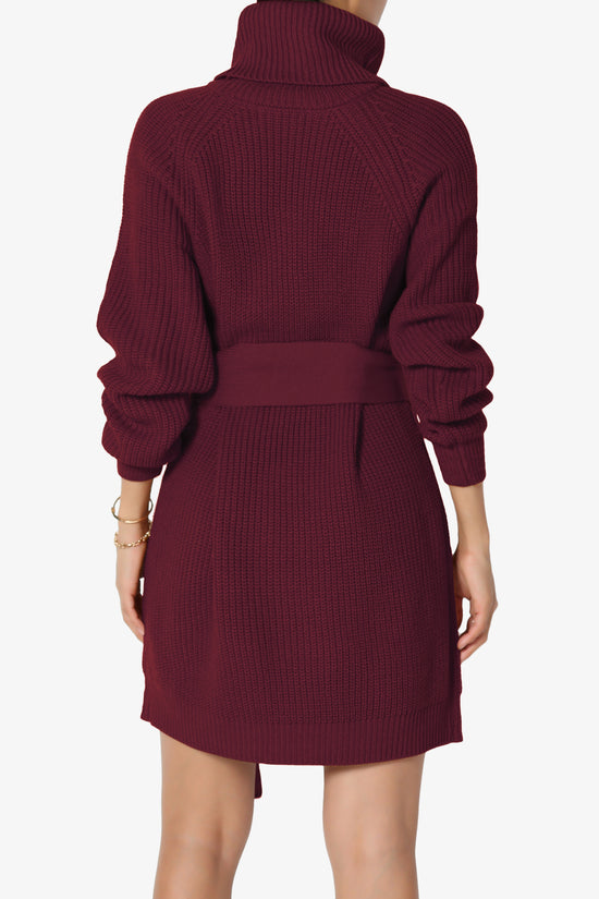 Arkin Turtle Neck Pullover Sweater Mini Dress DARK BURGUNDY_2