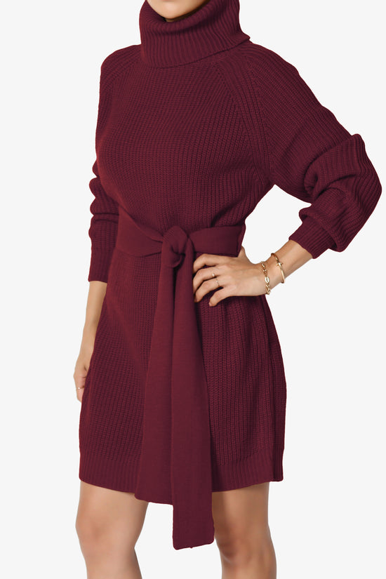Arkin Turtle Neck Pullover Sweater Mini Dress DARK BURGUNDY_3