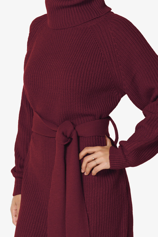 Arkin Turtle Neck Pullover Sweater Mini Dress DARK BURGUNDY_5